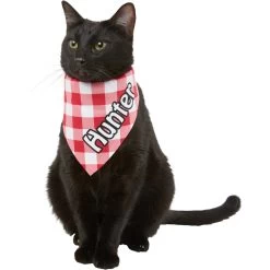 Frisco Gingham Personalized Dog & Cat Bandana -Frisco 258775 PT7. AC SS1800 V1619558565