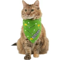 Frisco Golf Personalized Dog & Cat Bandana -Frisco 263017 PT7. AC SS1800 V1619557647