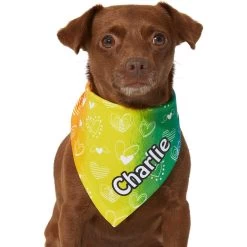Frisco Rainbow Hearts Personalized Dog & Cat Bandana -Frisco 267539 PT5. AC SS1800 V1632432071
