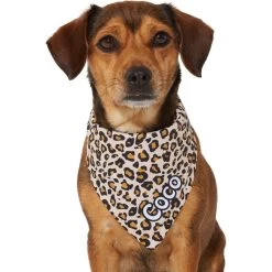 Frisco Leopard Print Personalized Dog & Cat Bandana -Frisco 267543 PT7. AC SS1800 V1623164552