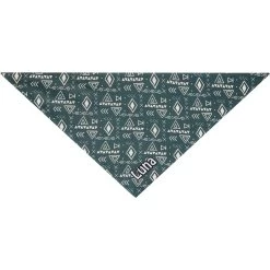 Frisco Boho Geo Personalized Dog & Cat Bandana -Frisco 267559 PT3. AC SS1800 V1623094369