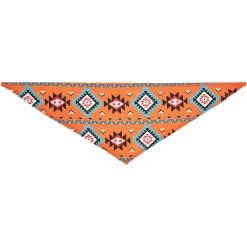 Frisco Southwest Dog & Cat Bandana 14 Frisco Southwest Dog & Cat Bandana -Frisco 267904 PT4. AC SS1800 V1637689344