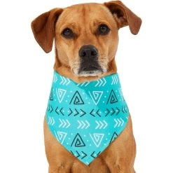 Frisco Geometric Dog & Cat Bandana -Frisco 267907 PT2. AC SS1800 V1637653589
