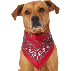 Frisco Red Paisley Dog & Cat Bandana -Frisco 267919 PT2. AC SS1800 V1637669854