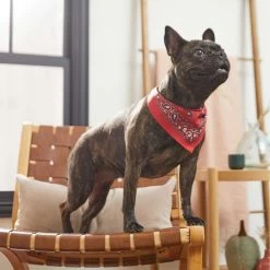 Frisco Red Paisley Dog & Cat Bandana -Frisco 267919 PT5. AC SS1800 V1637687581