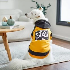 Frisco Stud Dog & Cat Hoodie 17 Frisco Stud Dog & Cat Hoodie -Frisco 268002 PT8. AC SS1800 V1629764770