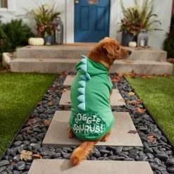 Frisco Doggiesaurus Dog & Cat Hoodie, Green -Frisco 268033 PT6. AC SS1800 V1637671011