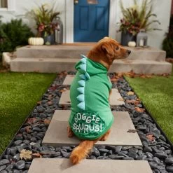 Frisco Doggiesaurus Dog & Cat Hoodie, Green -Frisco 268033 PT8. AC SS1800 V1629763006
