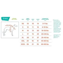 Frisco Lightweight Southwest Dog & Cat Polar Fleece Vest -Frisco 268167 PT1. AC SS1800 V1628634384