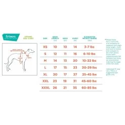 Frisco Mediumweight Colorblock Adventure Insulated Dog & Cat Parka -Frisco 268421 PT1. AC SS1800 V1628641019