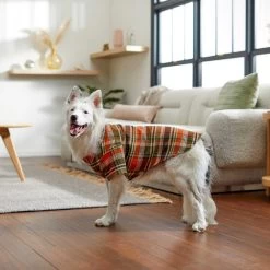 Frisco Orange & Olive Plaid Dog & Cat Flannel Shirt 18 Frisco Orange & Olive Plaid Dog & Cat Flannel Shirt -Frisco 268612 PT7. AC SS1800 V1637721727