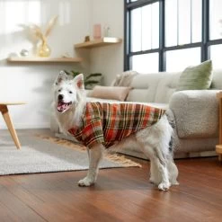 Frisco Orange & Olive Plaid Dog & Cat Flannel Shirt 19 Frisco Orange & Olive Plaid Dog & Cat Flannel Shirt -Frisco 268612 PT8. AC SS1800 V1629759992