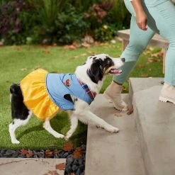 Frisco Chambray Plaid Dog & Cat Dress -Frisco 268637 PT6. AC SS1800 V1637730174