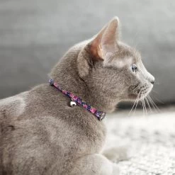 Frisco Midnight Floral Cat Collar -Frisco 269490 PT4. AC SS1800 V1617037508