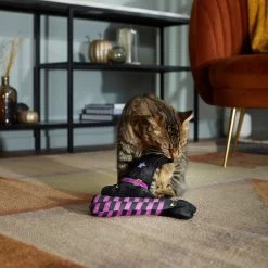 Frisco Halloween Witch Hat & Legs Plush Cat Toy With Catnip, 2 Count -Frisco 270305 PT3. AC SS1800 V1624817161