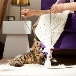 Frisco Sugar Skull Bride & Groom Bouncy Cat Toy With Catnip, 2 Count -Frisco 270343 PT3. AC SS1800 V1624817778