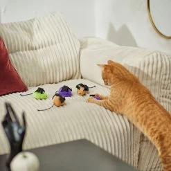 Frisco Halloween Bat Mice Plush Cat Toy With Catnip 8 Frisco Halloween Bat Mice Plush Cat Toy With Catnip -Frisco 270353 PT3. AC SS1800 V1624817260