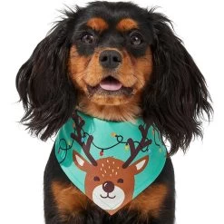 Frisco Peekaboo Reindeer Dog & Cat Bandana -Frisco 276198 PT3. AC SS1800 V1637687013