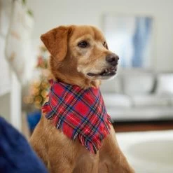 Frisco Red/Green Plaid Dog & Cat Flannel Bandana -Frisco 276201 PT5. AC SS1800 V1637669261