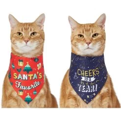 Frisco Santa's Favorite & Cheers To The New Year Dog & Cat Reversible Bandana 13 Frisco Santa's Favorite & Cheers To The New Year Dog & Cat Reversible Bandana -Frisco 276285 PT2. AC SS1800 V1637719891