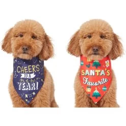 Frisco Santa's Favorite & Cheers To The New Year Dog & Cat Reversible Bandana 14 Frisco Santa's Favorite & Cheers To The New Year Dog & Cat Reversible Bandana -Frisco 276285 PT3. AC SS1800 V1637655160