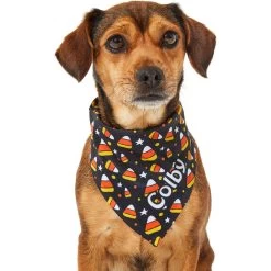 Frisco Candy Corn Personalized Dog & Cat Bandana -Frisco 287056 PT6. AC SS1800 V1623246504
