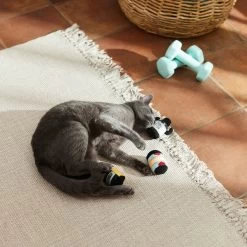 Frisco Pre-Workout & Protein Plush Cat Toy With Catnip, 3 Count -Frisco 288953 PT3. AC SS1800 V1638287817