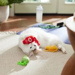 Frisco New Year, New Me Juice Cleanse Plush Cat Toy With Catnip 7 Frisco New Year, New Me Juice Cleanse Plush Cat Toy With Catnip -Frisco 288957 PT3. AC SS1800 V1638292099