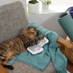 Frisco Scale & Message Bubble Plush Cat Toy With Catnip, 2 Count -Frisco 288959 PT3. AC SS1800 V1638288401