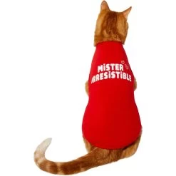 Frisco Mister Irresistible Dog & Cat T-Shirt -Frisco 292026 PT2. AC SS1800 V1637268745