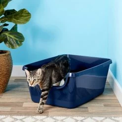Frisco High Sided Cat Litter Box, Extra Large & World's Best Multi-Cat Unscented Clumping Corn Cat Litter -Frisco 293046 PT2. AC SS1800 V1619998947