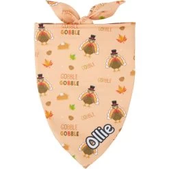 Frisco Quirky Thanksgiving Personalized Dog & Cat Bandana