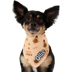 Frisco Quirky Thanksgiving Personalized Dog & Cat Bandana 17 Frisco Quirky Thanksgiving Personalized Dog & Cat Bandana -Frisco 296986 PT6. AC SS1800 V1627654020