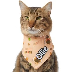 Frisco Quirky Thanksgiving Personalized Dog & Cat Bandana 18 Frisco Quirky Thanksgiving Personalized Dog & Cat Bandana -Frisco 296986 PT7. AC SS1800 V1627654903