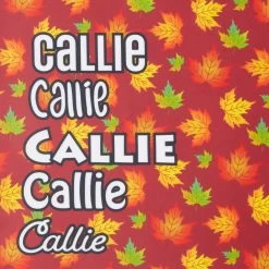 Frisco Fall Leaves Personalized Dog & Cat Bandana -Frisco 296994 PT4. AC SS1800 V1627654575