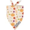 Frisco Pumpkin Spice Personalized Dog & Cat Bandana -Frisco 296998 MAIN. AC SS1800 V1627653400