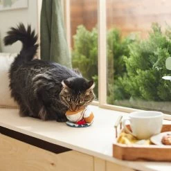 Frisco Brunch Teacup Plush Cat Toy With Catnip -Frisco 297292 PT2. AC SS1800 V1642088843