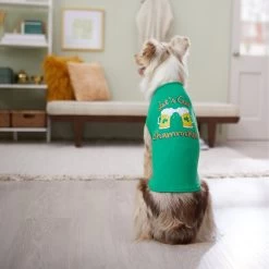 Frisco Let's Get Shamrocked Dog & Cat T-Shirt -Frisco 300184 PT8. AC SS1800 V1639597401