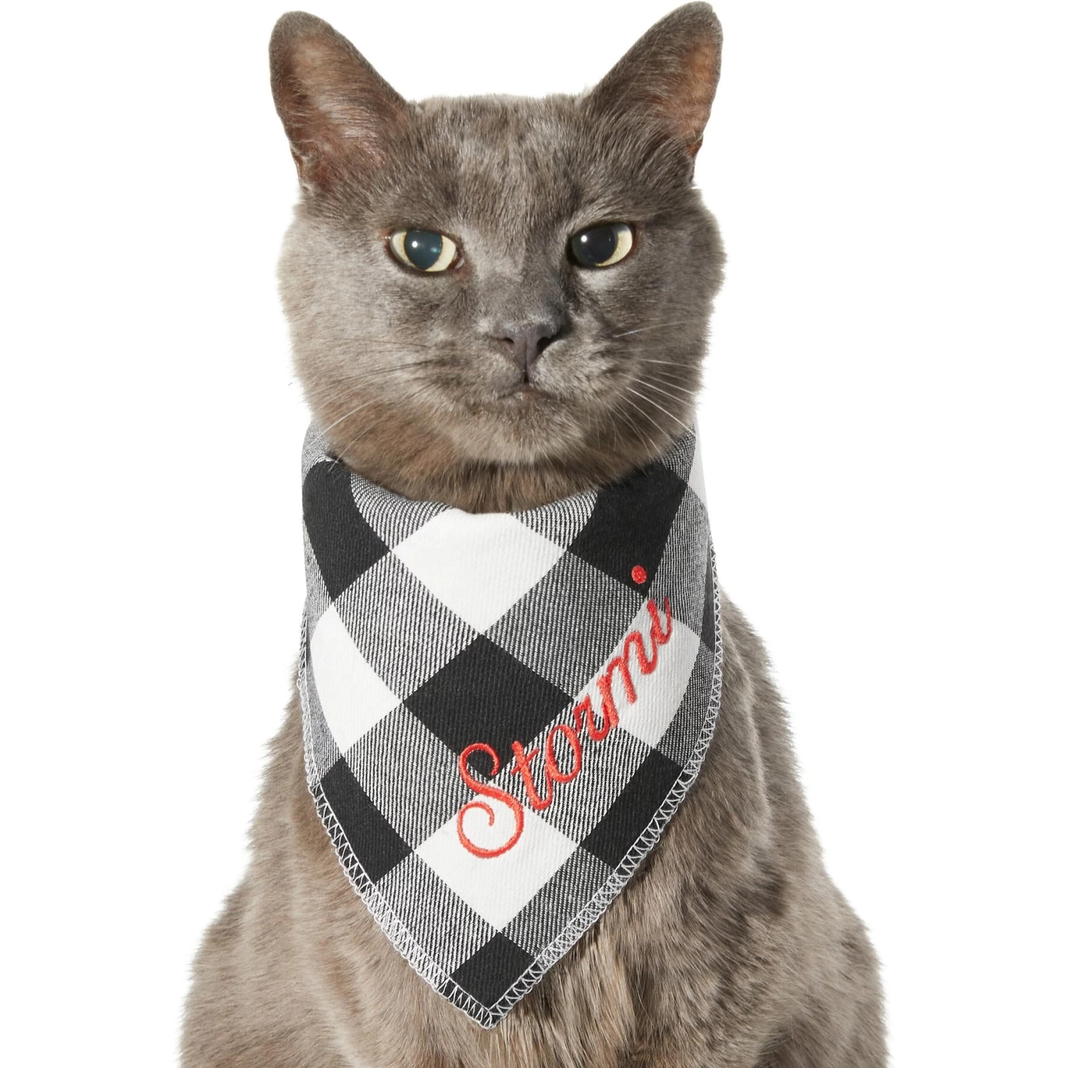 Frisco Buffalo Check Embroidered Personalized Dog & Cat Bandana 9 Frisco Buffalo Check Embroidered Personalized Dog & Cat Bandana - Image 7