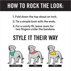 Frisco Gingerbread Cookie Personalized Dog & Cat Bandana 12 Frisco Gingerbread Cookie Personalized Dog & Cat Bandana -Frisco 301361 PT2. AC SS1800 V1623274646