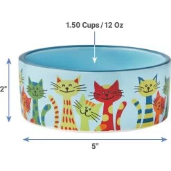 Frisco New York Non-skid Ceramic Cat Dish & Frisco New York Non-skid Ceramic Cat Bowl 18 Frisco New York Non-skid Ceramic Cat Dish & Frisco New York Non-skid Ceramic Cat Bowl -Frisco 302488 PT7. AC SS1800 V1623052360