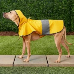 Frisco Lightweight Rainy Days Dog Raincoat & Frisco Lightweight Clear Vinyl Dog Raincoat -Frisco 302814 PT4. AC SS1800 V1623089554