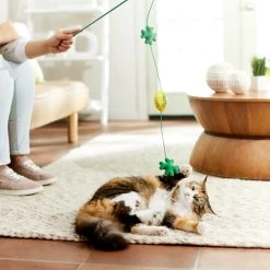 Frisco St. Patrick's Shamrock Teaser Wand Cat Toy With Catnip -Frisco 303108 PT3. AC SS1800 V1641230422