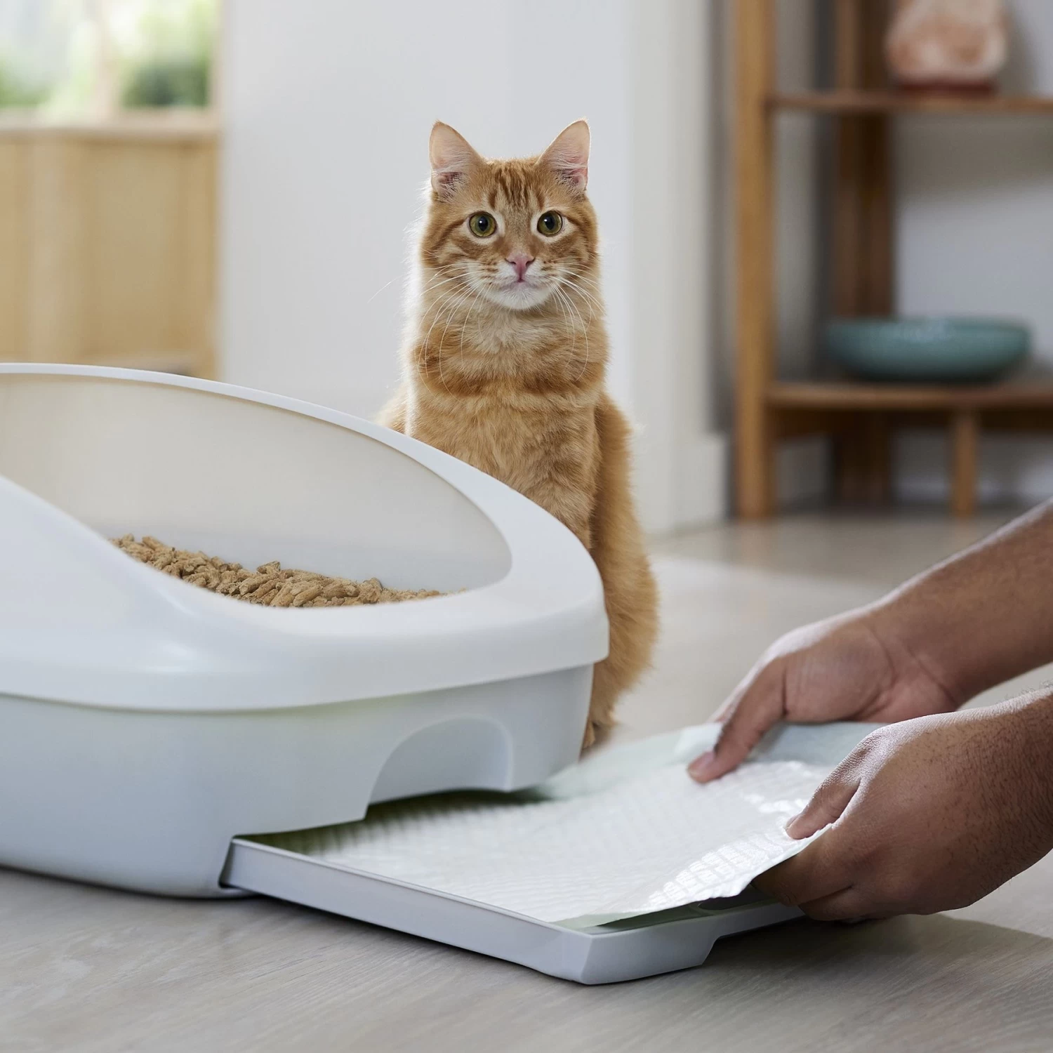 Frisco Cat Litter Pads, Scented 8 Frisco Cat Litter Pads, Scented - Image 6