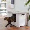 Frisco Multi-Function Covered Cat Litter Box, Jumbo -Frisco 309855 MAIN. AC SS1800 V1631817414