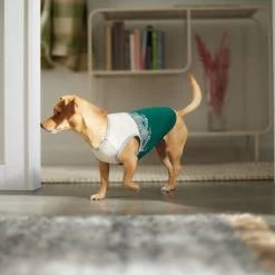 Frisco Tropical Palm Dog & Cat T-Shirt -Frisco 312072 PT8. AC SS1800 V1644425897