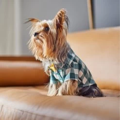 Frisco Boho Plaid Dog & Cat Shirt -Frisco 312184 PT8. AC SS1800 V1644524330