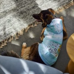 Frisco Just Chillin Dog & Cat Hoodie -Frisco 312233 PT8. AC SS1800 V1644881922