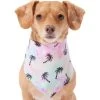 Frisco Palm Tree Dog & Cat Bandana -Frisco 312291 MAIN. AC SS1800 V1644885149