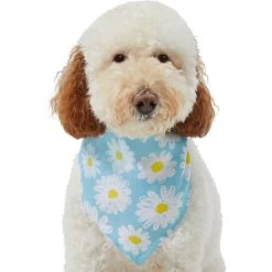 Frisco Daisy Dog & Cat Bandana -Frisco 312303 PT3. AC SS1800 V1673302704